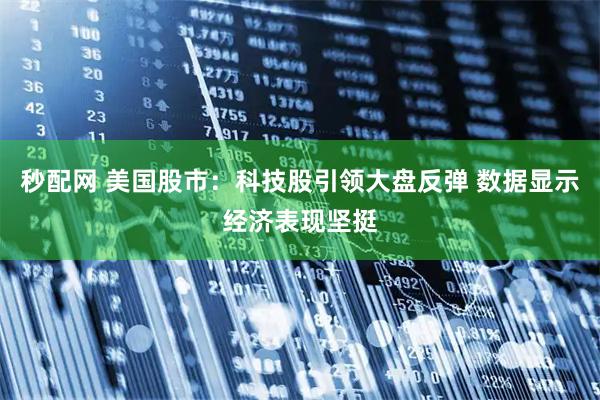 秒配网 美国股市：科技股引领大盘反弹 数据显示经济表现坚挺