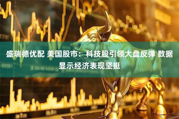 盛瑞德优配 美国股市：科技股引领大盘反弹 数据显示经济表现坚挺