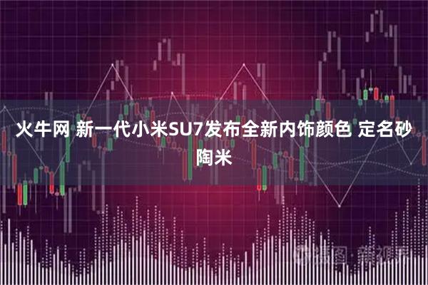 火牛网 新一代小米SU7发布全新内饰颜色 定名砂陶米