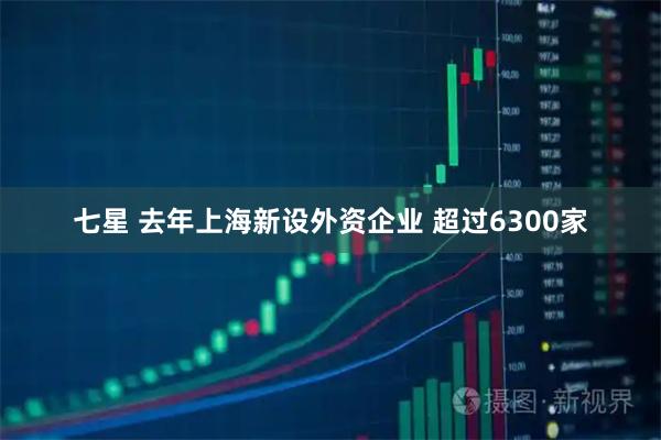 七星 去年上海新设外资企业 超过6300家