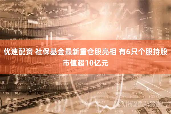优速配资 社保基金最新重仓股亮相 有6只个股持股市值超10亿元