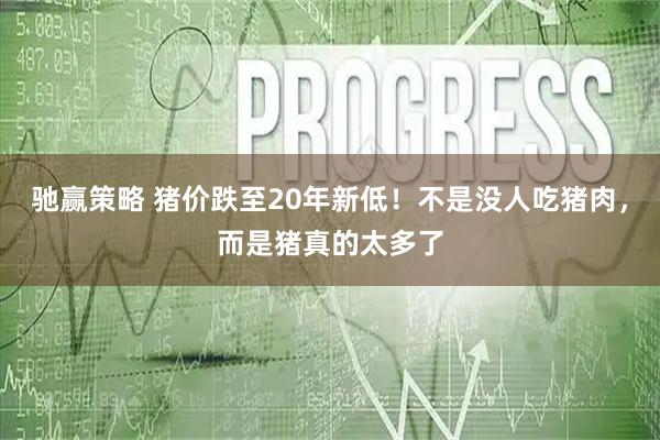 驰赢策略 猪价跌至20年新低！不是没人吃猪肉，而是猪真的太多了