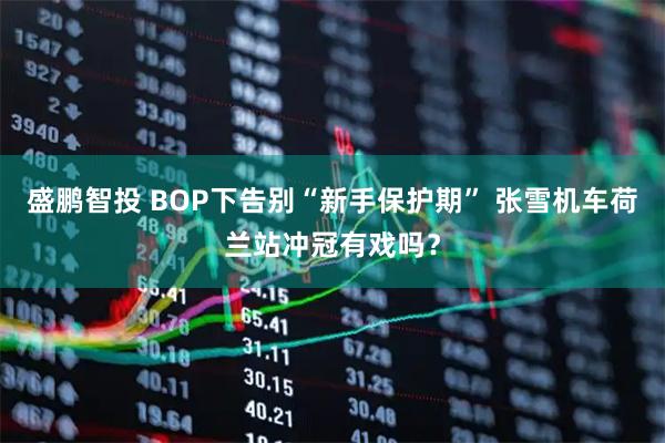 盛鹏智投 BOP下告别“新手保护期” 张雪机车荷兰站冲冠有戏吗？