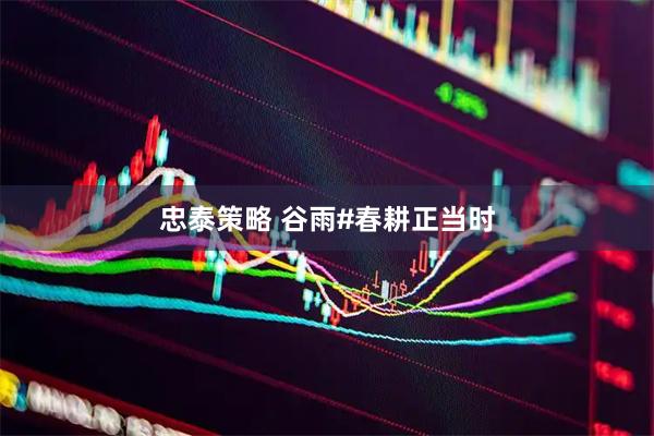 忠泰策略 谷雨#春耕正当时