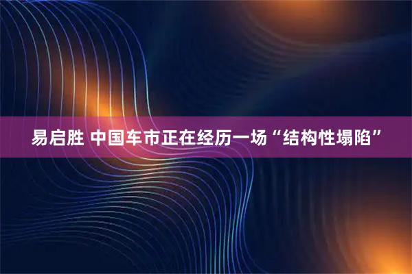易启胜 中国车市正在经历一场“结构性塌陷”