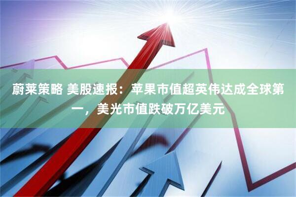 蔚莱策略 美股速报：苹果市值超英伟达成全球第一，美光市值跌破万亿美元