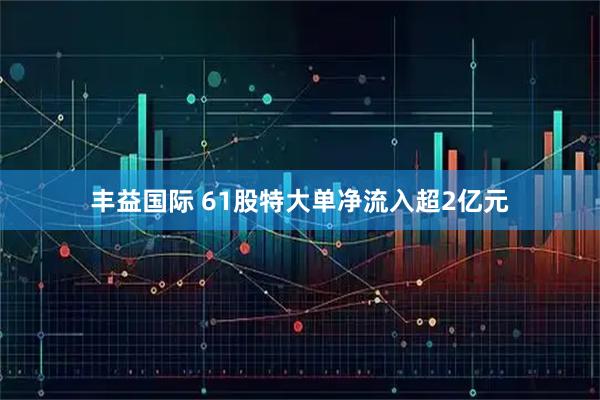 丰益国际 61股特大单净流入超2亿元
