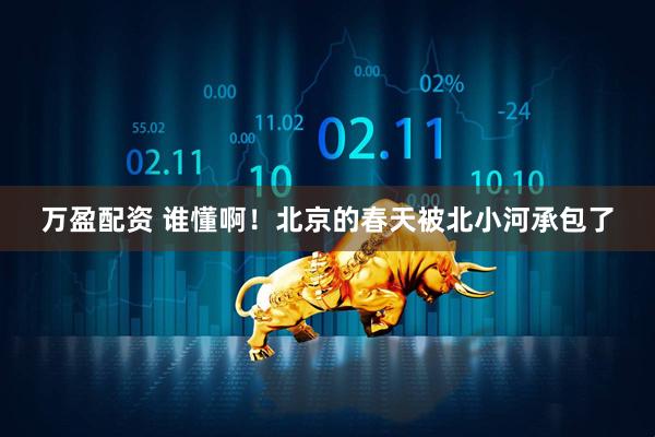 万盈配资 谁懂啊！北京的春天被北小河承包了