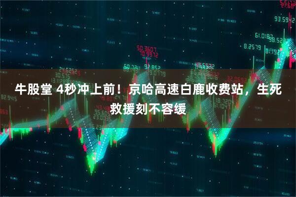 牛股堂 4秒冲上前！京哈高速白鹿收费站，生死救援刻不容缓