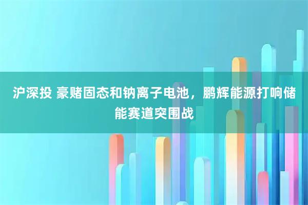 沪深投 豪赌固态和钠离子电池，鹏辉能源打响储能赛道突围战