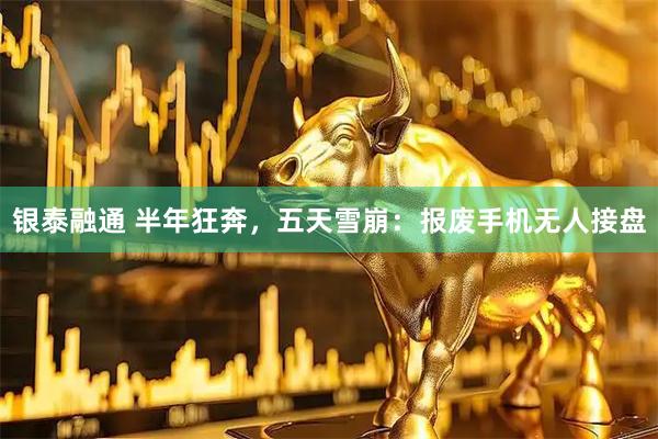 银泰融通 半年狂奔，五天雪崩：报废手机无人接盘