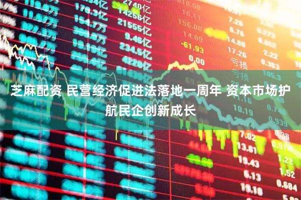 芝麻配资 民营经济促进法落地一周年 资本市场护航民企创新成长