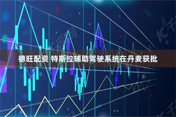德旺配资 特斯拉辅助驾驶系统在丹麦获批