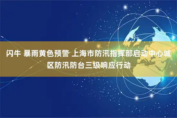 闪牛 暴雨黄色预警 上海市防汛指挥部启动中心城区防汛防台三级响应行动