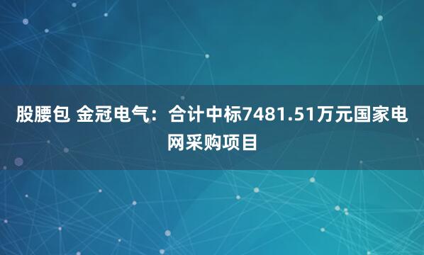 股腰包 金冠电气:合计中标7481.51万元国家电网采购项目