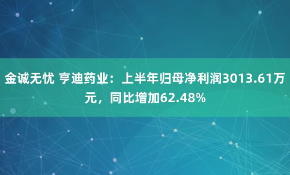 金诚无忧 亨迪药业：上半年归母净利润3013.61万元，同比增加62.48%